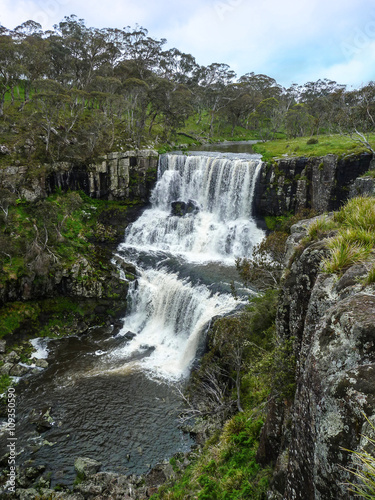 Ebor Falls. A cascading waterfall running over basalt in Guy Fawkes River National Park  NSW Australia.