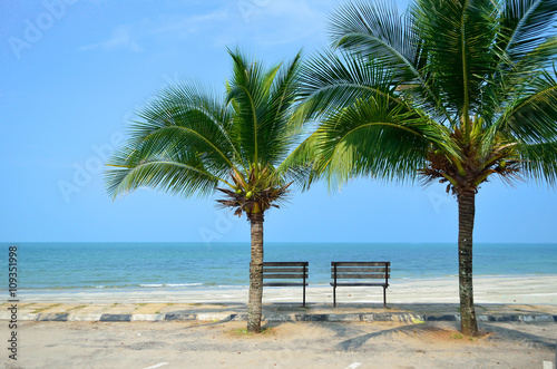 Bench near beach with green coconut tree © shahrilkhmd