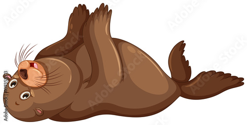 Sea lion flapping hands