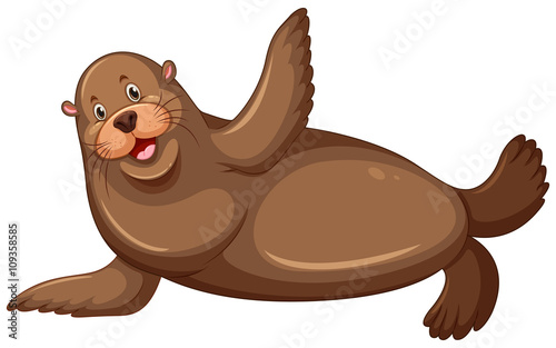 Sea lion with happy face