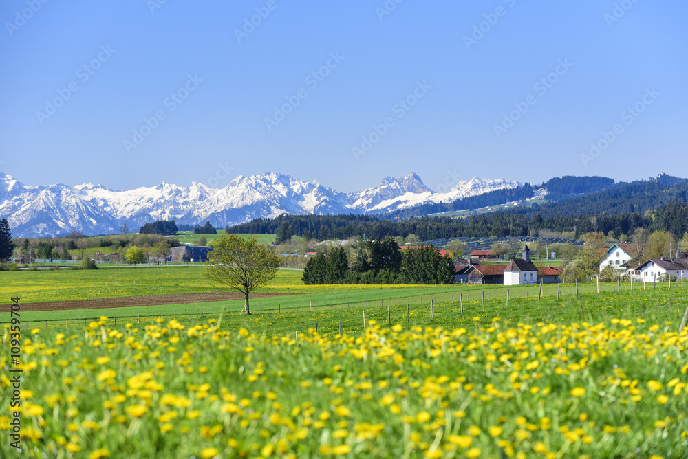 Frühling im bayrischen Alpenvorland
