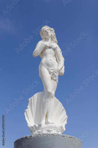 Statue of Aphrodite in a shell photo