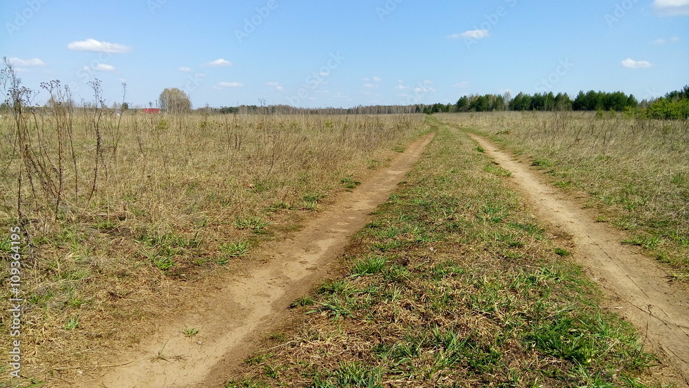 Obraz premium Поле ранней весной