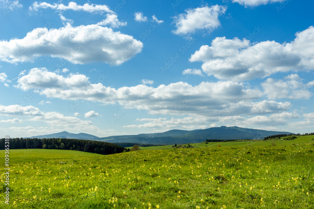 Grüne Wiese und blauer Himmel mit Wolken, Blick zum Brocken und Wurmberg