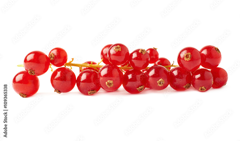 Red Currant isolated over white background Red Currant isolated over white background