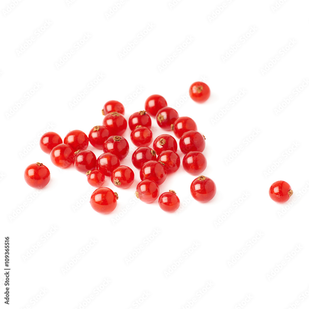 Red Currant isolated over white background Red Currant isolated over white background