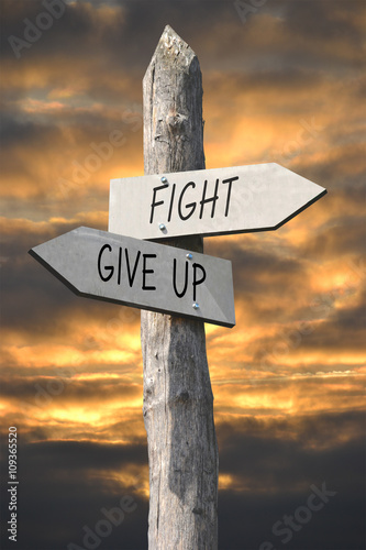 Fight or give up signpost photo