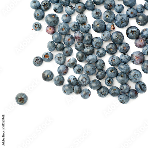 Bilberry or blueberry over isolated white background