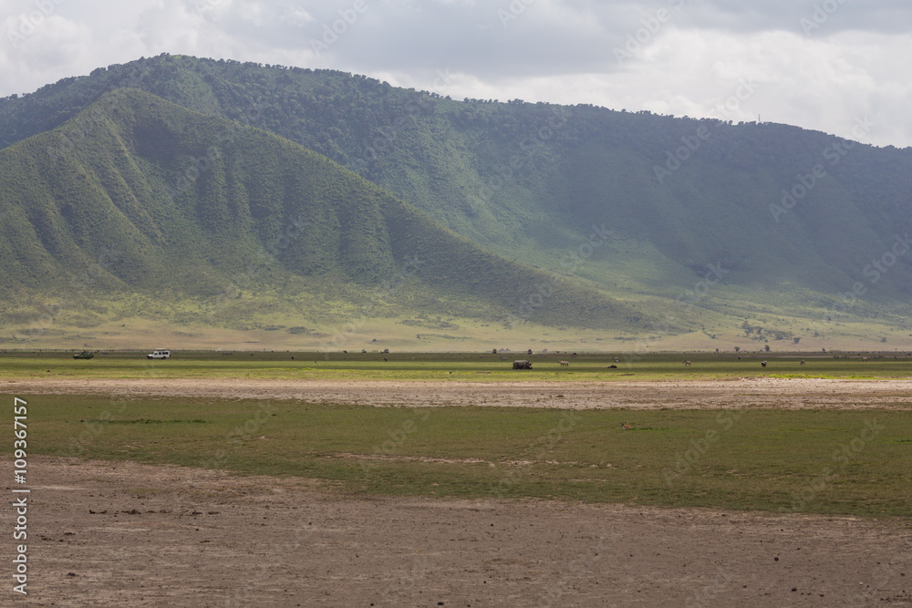 The Ngorongoro crater wall