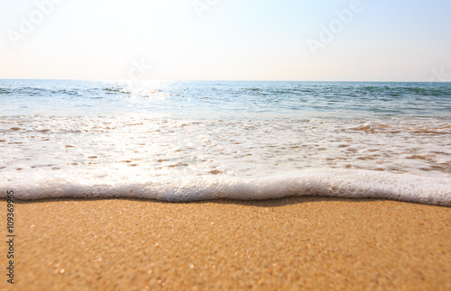 tropical beach