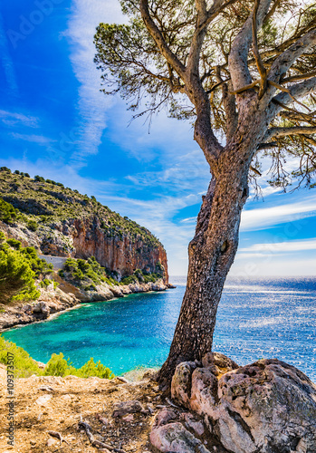 Cliff line Mediterranean Sea landscape Majorca Spain Island