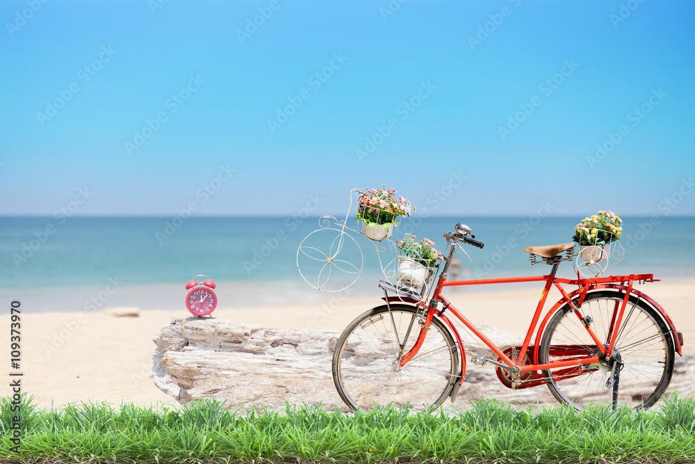 Obraz premium Old red bicycle with basket and flowers with green grass and ala