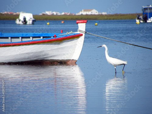 ria formosa