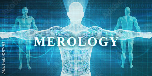Merology photo