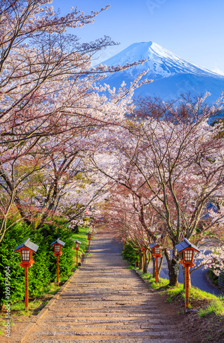 Path to Mt. Fuji in spring, Fujiyoshida, Japan photo