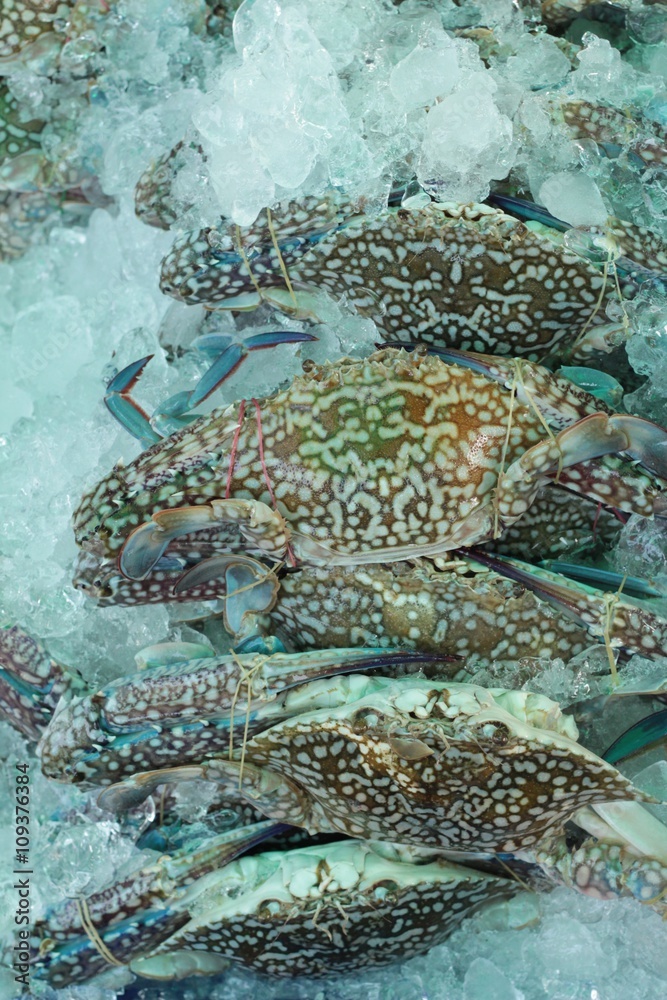 Fresh sea crab for cooking in market.