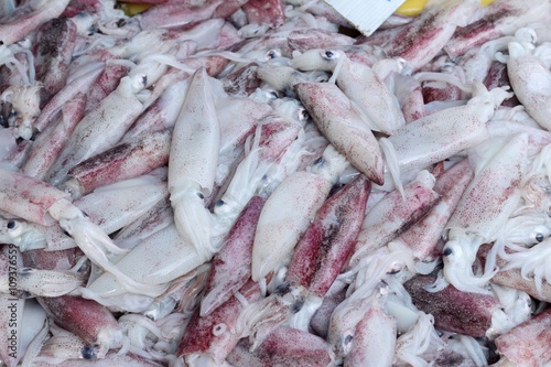 fresh squid for cooking in the market.