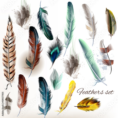Set of vector realistic colorful feathers