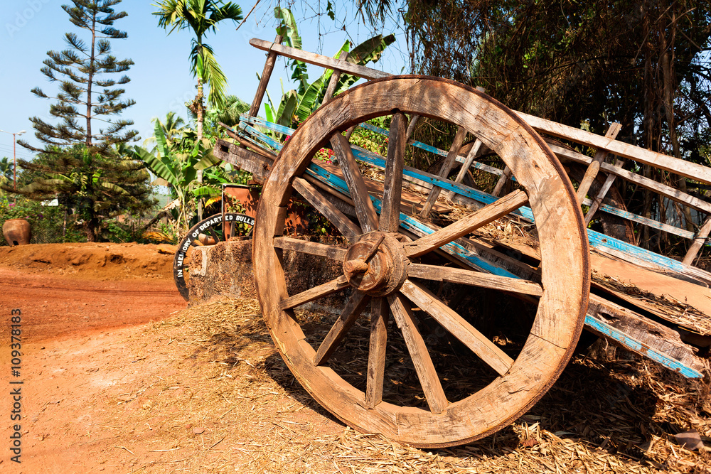 Obraz premium bullock-cart