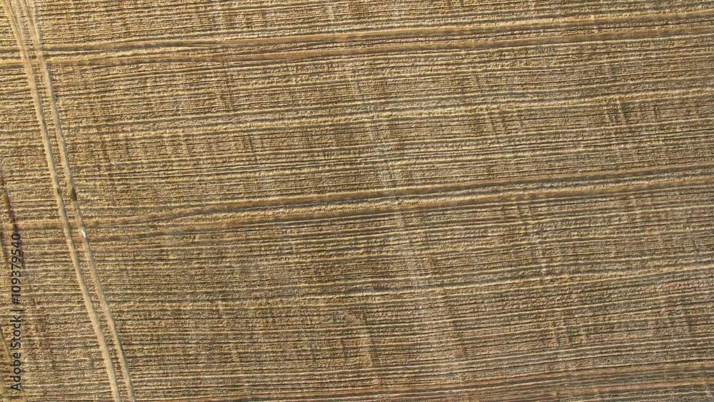 4K. Flight and landing above freshly cultivated fields at sunset, aerial top view with agriculture pattern. 4K. Flight and landing above freshly cultivated fields at sunset, aerial top view with agriculture pattern.