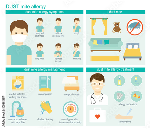 Dust mite allergy infographic: information, symptoms, management, and treatment. Vector illustration