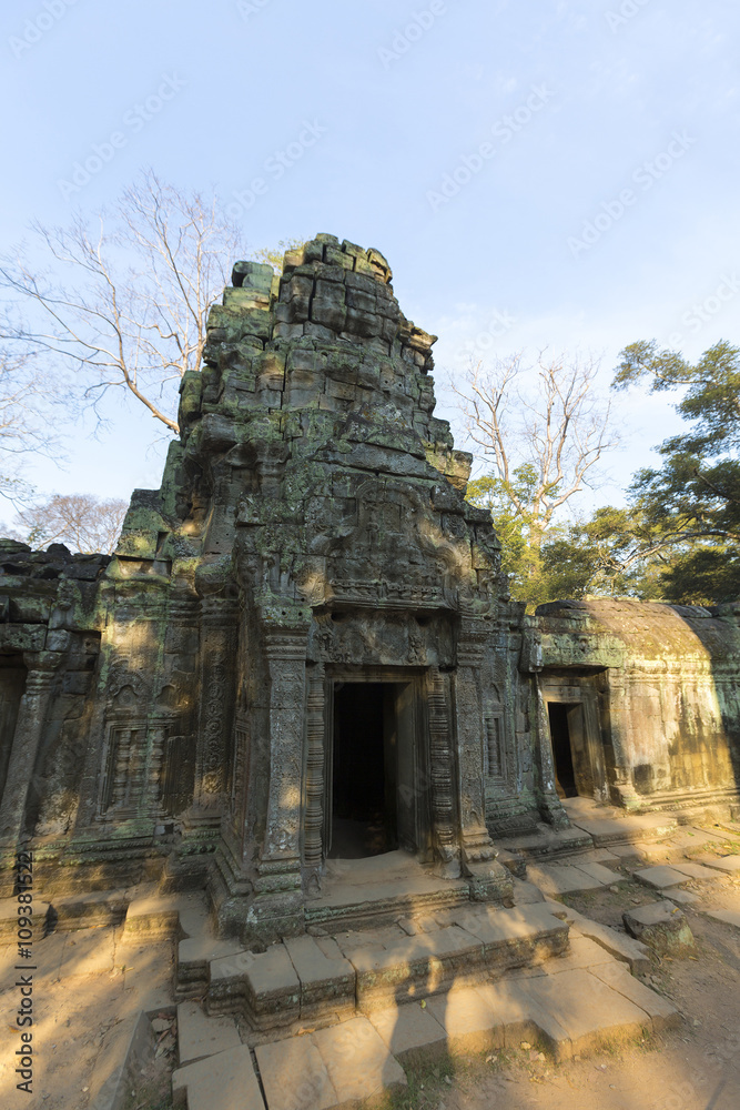 Ta Prohm, ancient temple in jungle forest in Angkor, Cambodia