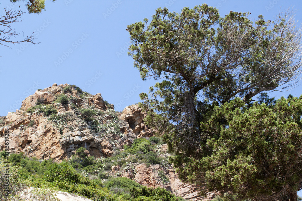 Paesaggio della Sardegna