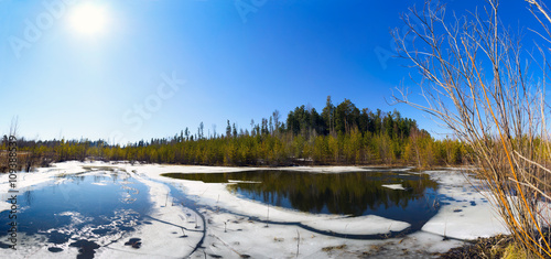 Spring landscape , forest lake,panorama. © amarinchenko106