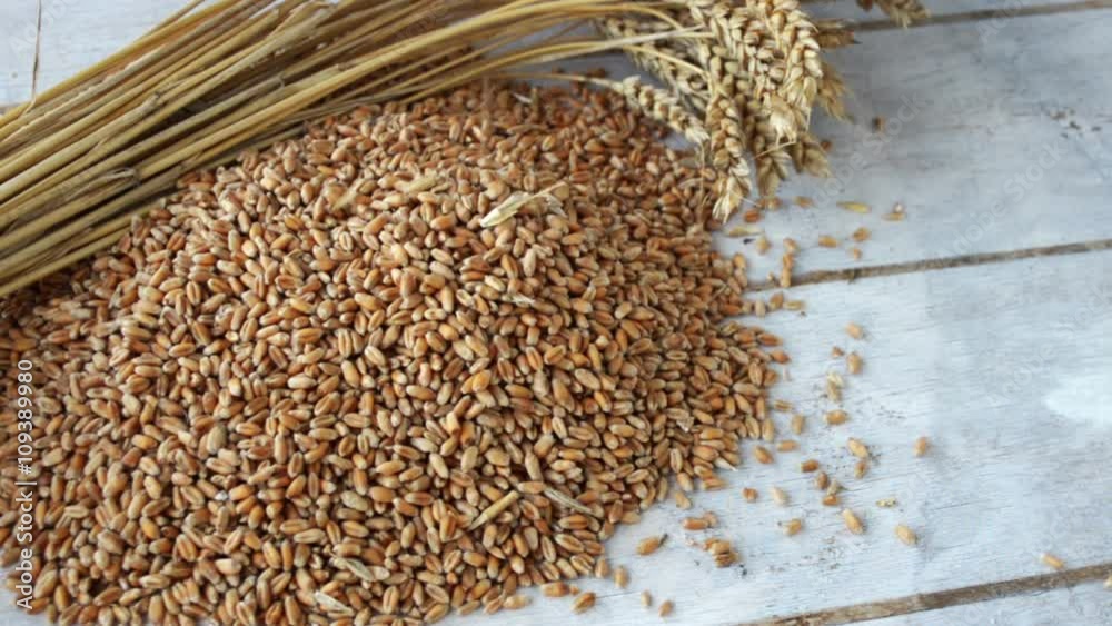 Wheat pouring on top of the grain pile with wheat sheaf on the wood background Wheat pouring on top of the grain pile with wheat sheaf on the wood background