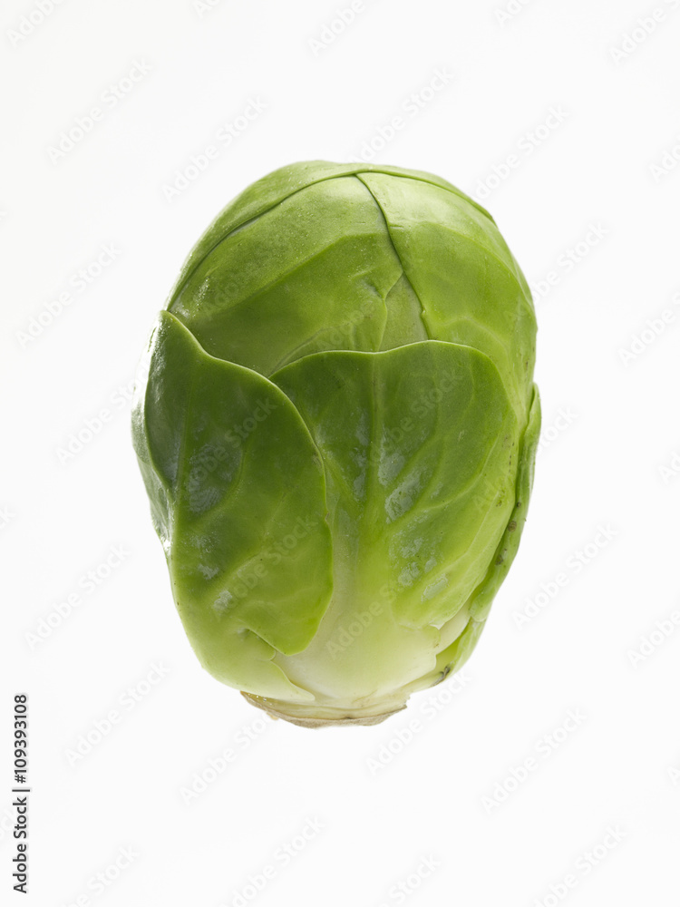 Fototapeta premium brussels sprout