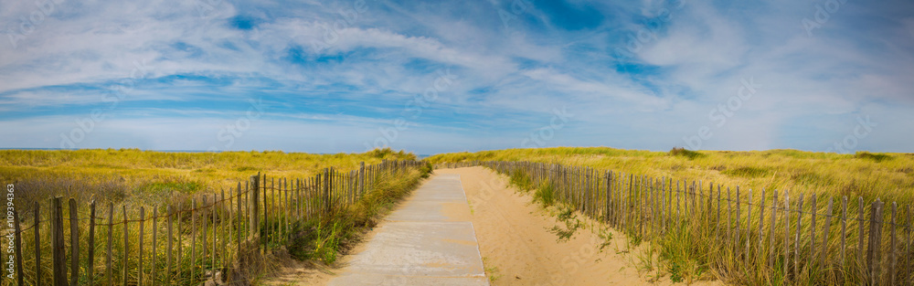 Fototapeta premium Summer holiday panoramic sea beach background. Path to the beach with beautiful sky and grass.