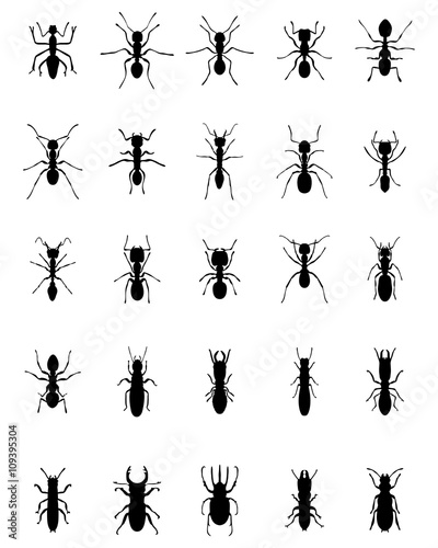 Black silhouettes of ants and termites, vector © KatarinaF
