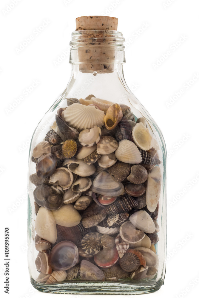 Flasche voller Muscheln mit Korken Stock-Foto | Adobe Stock