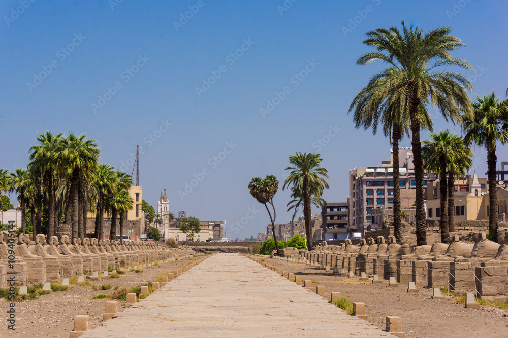 Avenue of the Sphinxes, Egypt