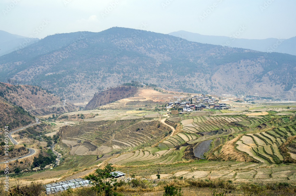 Aerial view of villages in Punakha, Bhutan - Bhutan, village and rice cultivation in Punakha during Spring dry season