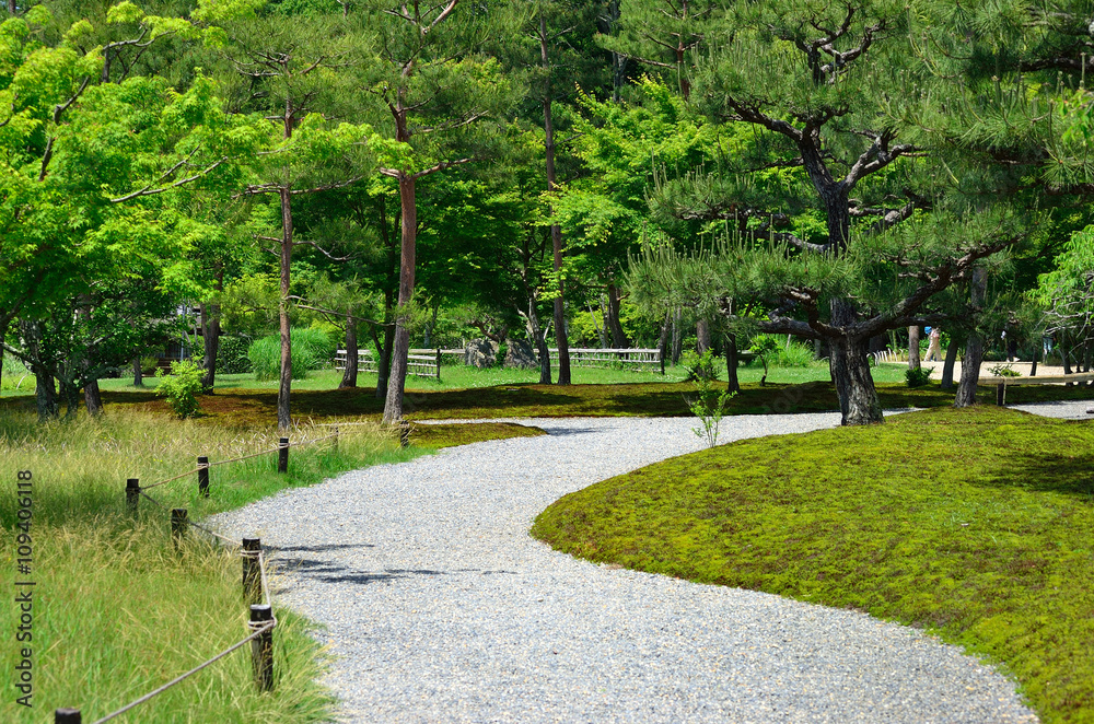 Japanese garden in Kyoto, Japan.