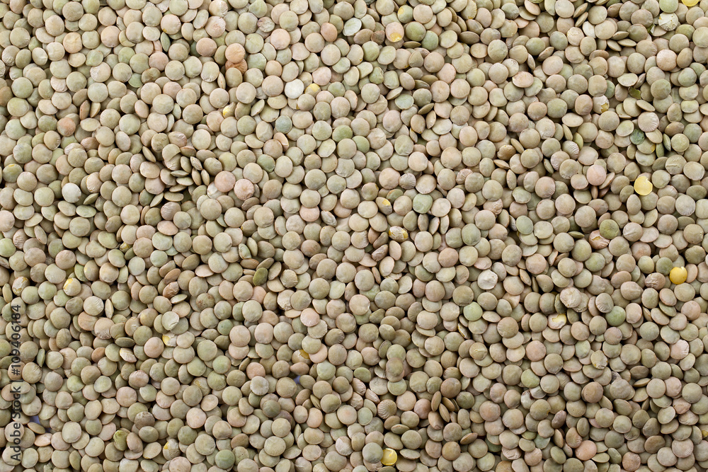 close-up image of green seeds.