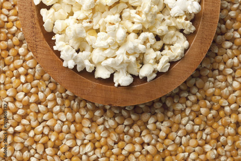 popcorn with dried kernel corn popcorn with dried kernel corn
