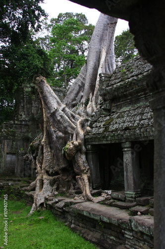 Preah Kahn temple  Cambodia  