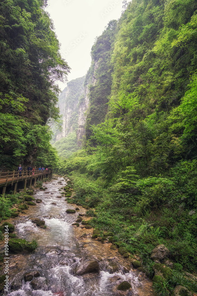 zhangjiajie grand canyon creek view zhangjiajie grand canyon creek view