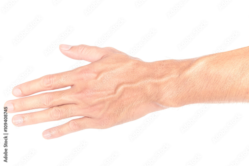 Man arm with blood veins on white backgrond Man arm with blood veins on white backgrond