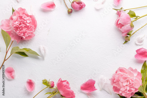 Fototapeta Naklejka Na Ścianę i Meble -  Pink peony flower petals on white paper