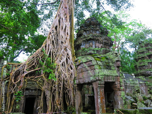 Ta Prohm temple,  Cambodia
