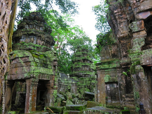 Ta Prohm temple,  Cambodia
