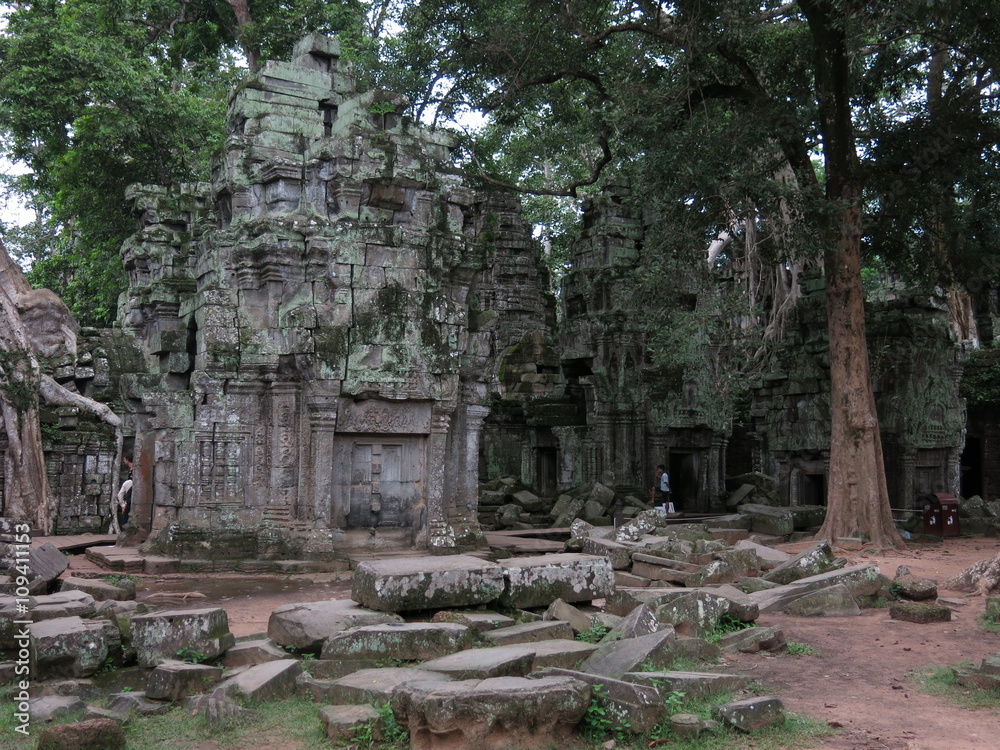 Fototapeta premium Ta Prohm temple, Cambodia 