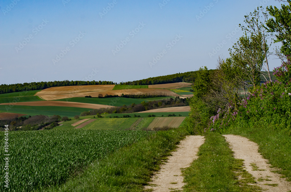 Weinviertler Landschaft