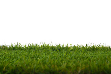 Green grass meadow field isolated on white background