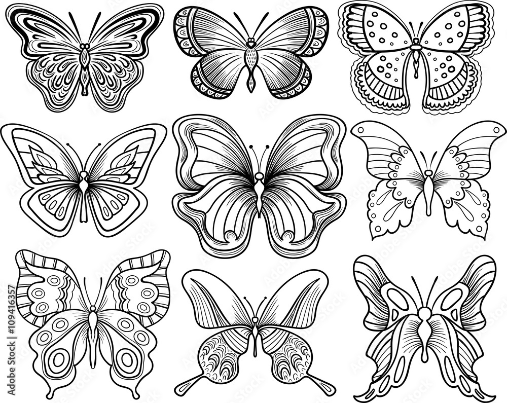 Hand drawing butterfly Hand drawing butterfly