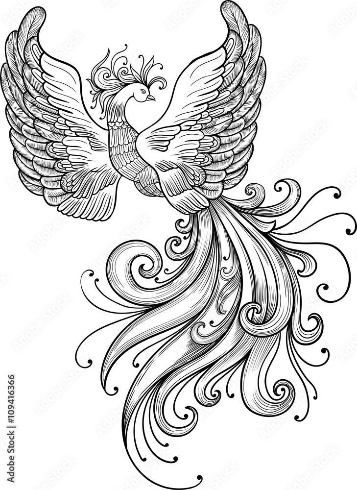 Obraz premium Firebird wektor clipart