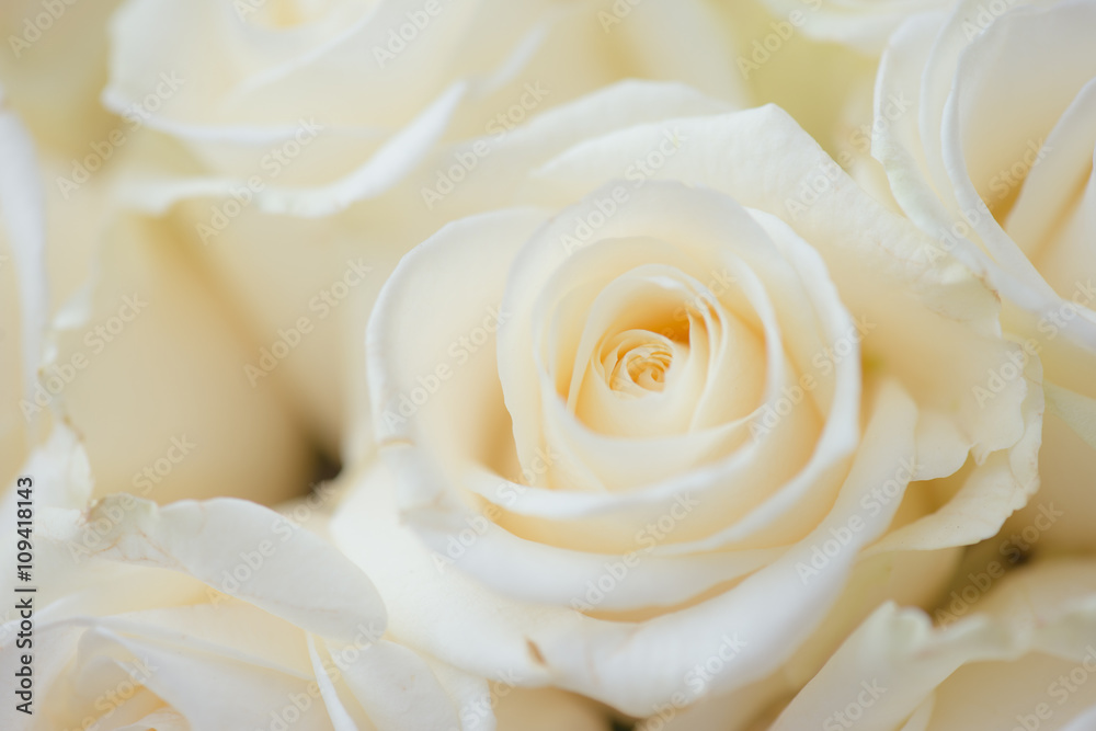 Wedding bouquet of white flowers. White roses. Wedding bouquet of white flowers. White roses.